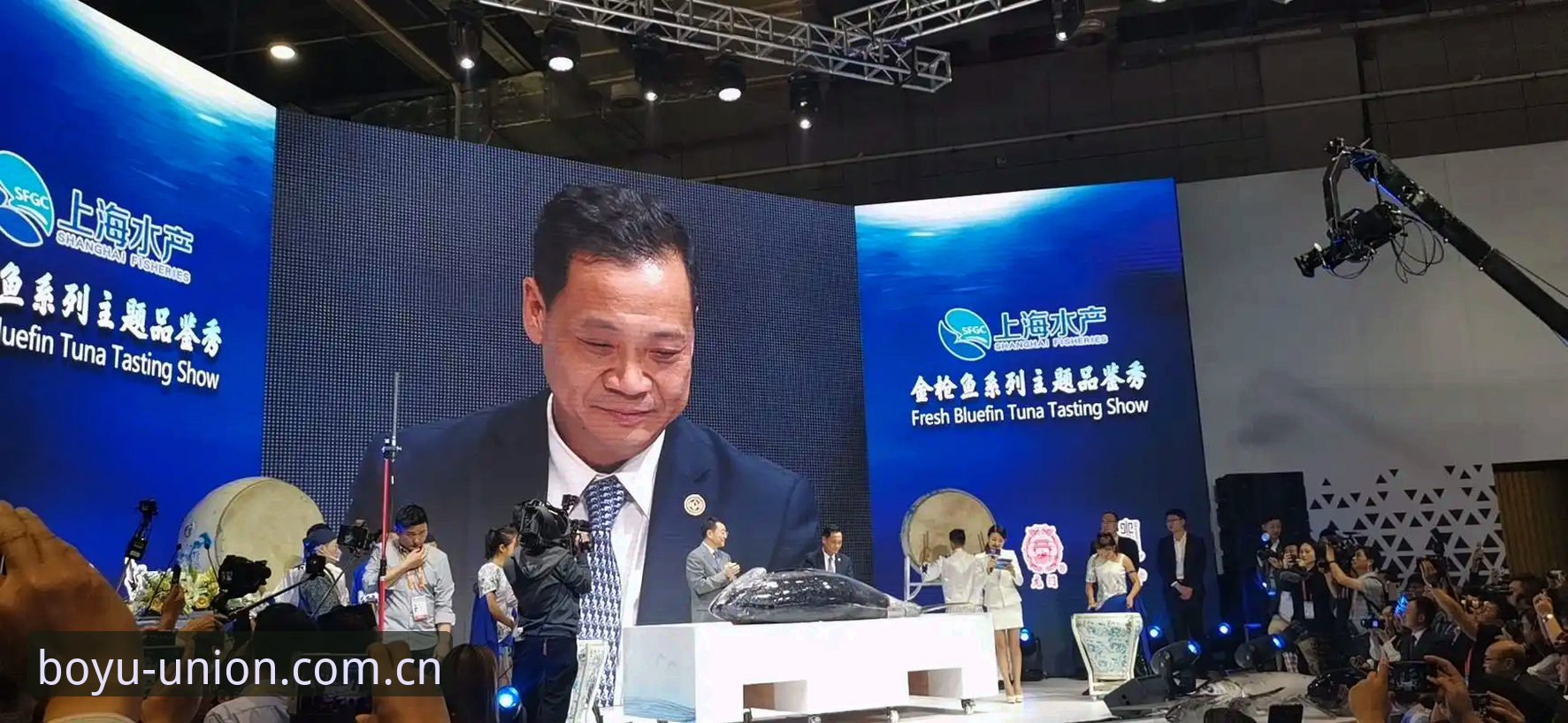 3个关键指标帮你判断博鱼体育娱乐平台哪个好——专业分析师深度评测